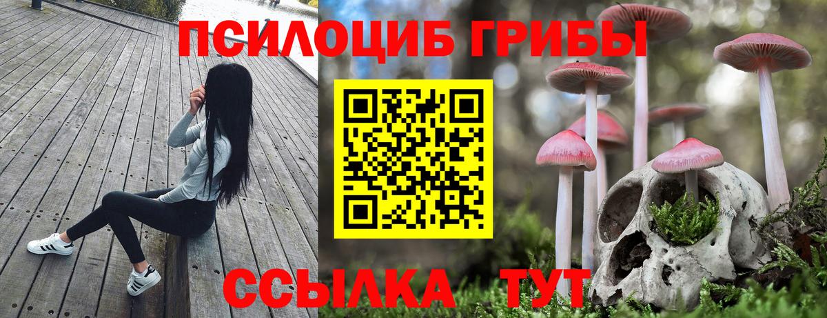 Псилоцибиновые грибы Psilocybine cubensis  Вход с VPN  Дубна 