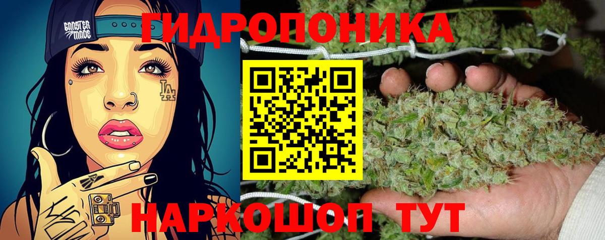 Дубна  Канабис гибрид  Канабис VHQ  Бошки марихуана MAZAR  Вход с VPN 
